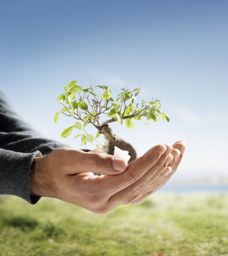 Home Wealth Management